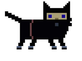 Pixel Cat Adventure Ninja Cat